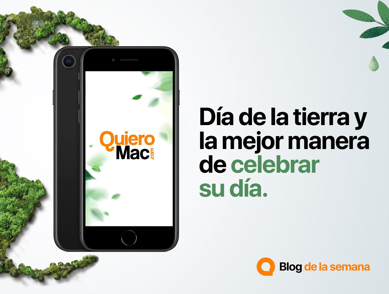 Día de la tierra y la mejor manera de celebrar su día